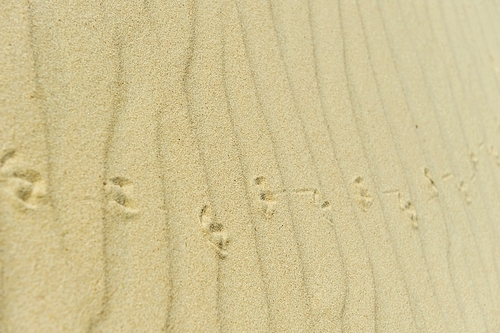 Small sand dunes on  beach. Sand texture