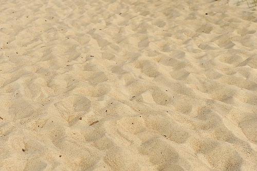 Small sand dunes on  beach. Sand texture