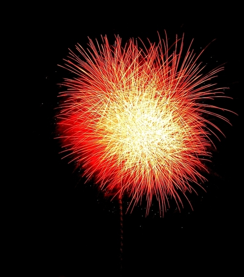 Colorful fireworks on the black sky background