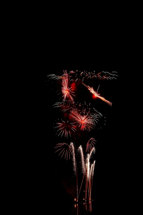 Colorful fireworks on the black sky background