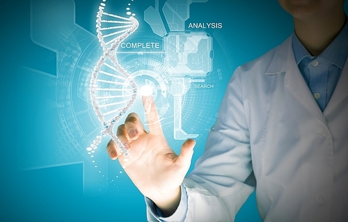 DNA molecule