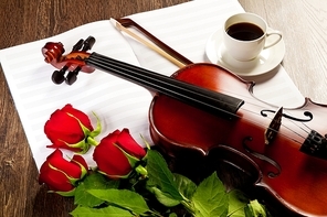 Red roses and a violin