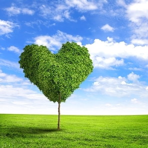 Green grass heart symbol against blue sky