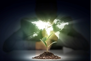 hands|the young sprout and our planet Earth