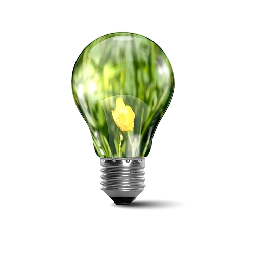 Illustration of an electric light bulb with clean and safe nature inside it Conceptual illustration