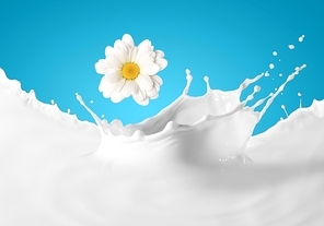 Image of milk splashes with camomile against color background