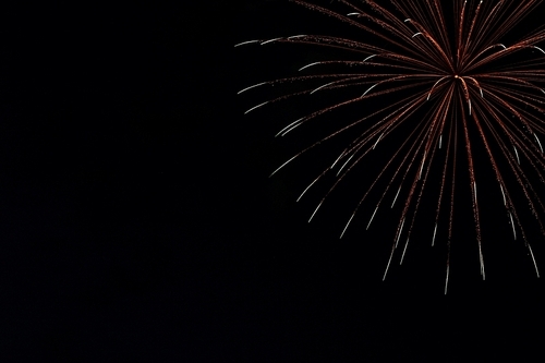 Colorful fireworks on the black sky background