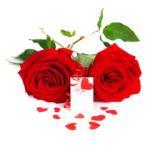 Blank card with red heart & roses isolated on white, conceptual image of love & Valentine's day holiday