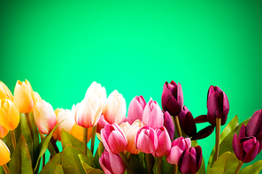 Bouquet of colorful tulips on the table