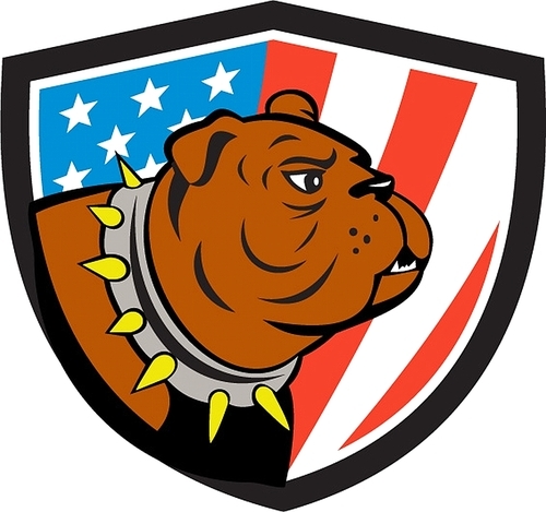 Illustration of a bulldog head looking to the side set inside shield crest with usa american stars and stripes flag in the background done in cartoon style.
