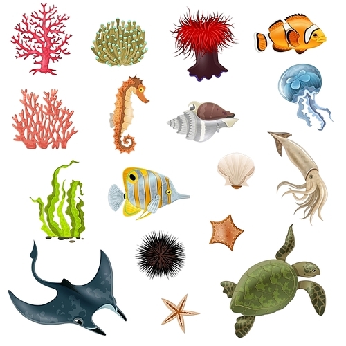 Set of sea life cartoon icons with fish coral seaweed shell  invertebrate vector illustration