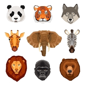 Images set of wild animals portraits drawn in flat style isolated vector illustration
