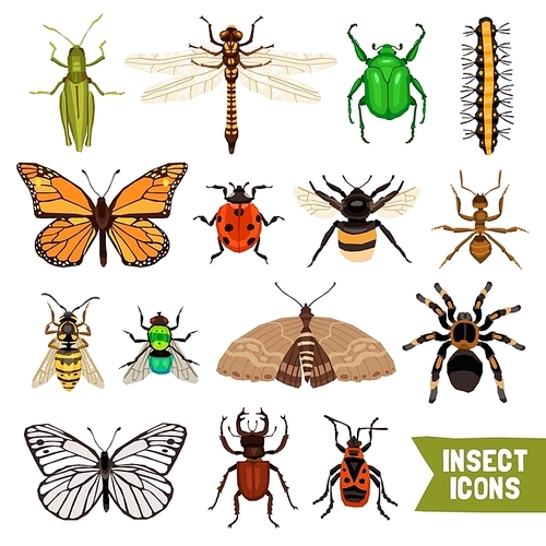 Insects Icons Set. Insects Flat Vector Illustration. Insects Isolated Decorative Set. Insects Design Set. Insects Elements Collection.