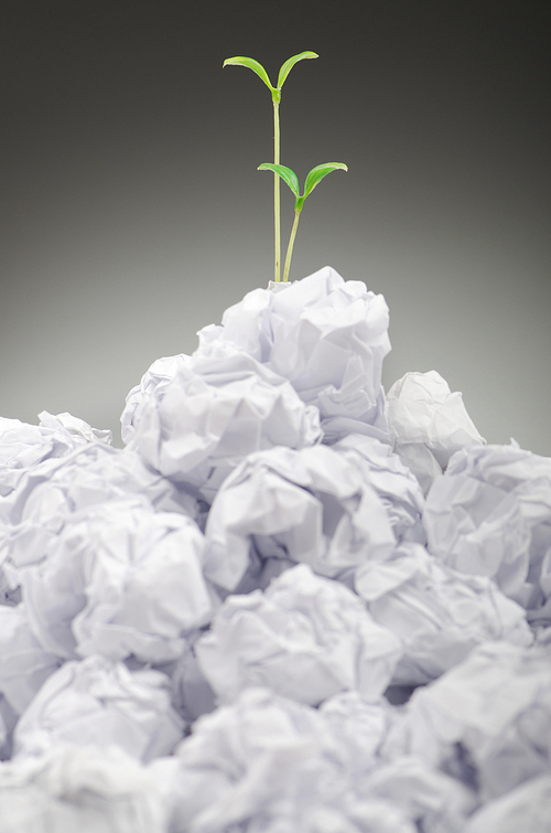 Green seedlings growing out of paper