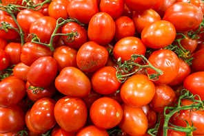 Market stall with lots of tomatoes