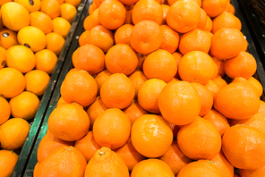 Citrus fruit on the supermarket stall