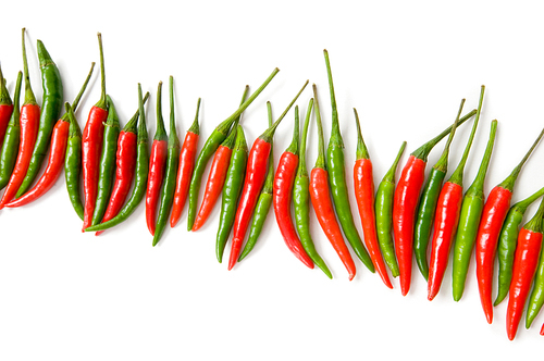 Red chili peppers isolated on the white