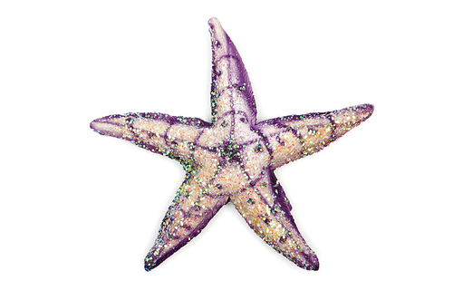 Sea stars isolated on the white