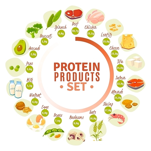 High protein products progressive circle diagram with actual content data from spinach to beef flat vector illustration