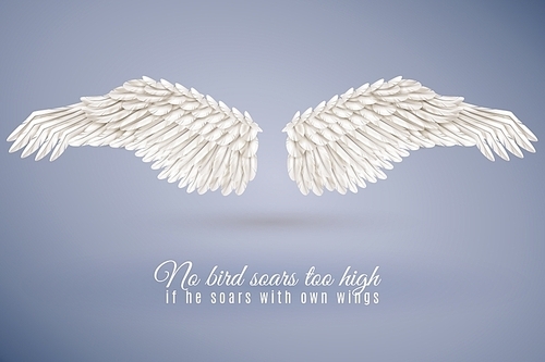 Pair of big realistic white bird wings set in middle isolated on blue  with quotation vector illustration