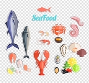 Seafood set design flat fish and crab. Lobster and food oyster, fresh seafood, shrimp and menu octopus animal, shellfish lemon, fresh seafood vector illustration