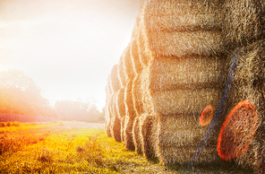 harvest bales of straw on sunset nature background