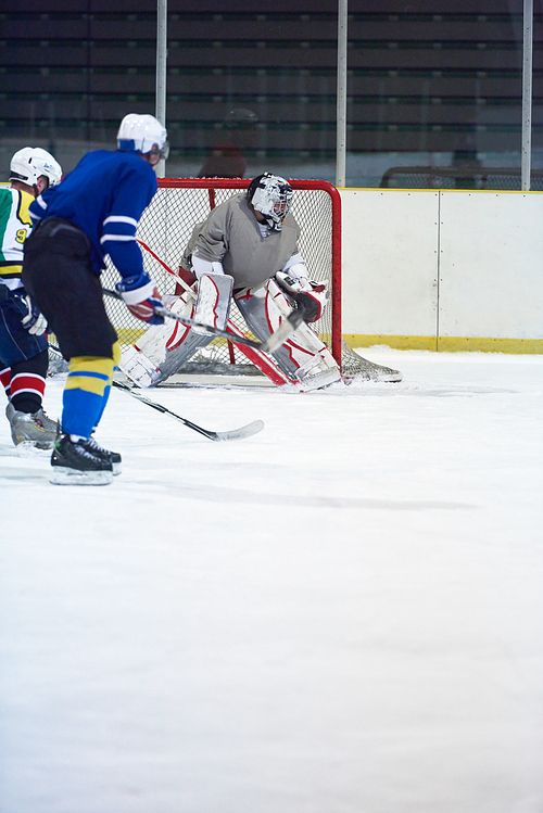 ice hockey player in action kicking with stick