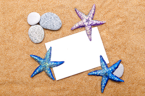 Sea stars isolated on the white