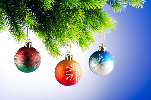 Baubles on christmas tree in celebration concept