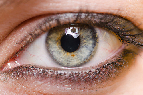 Close up of woman eye