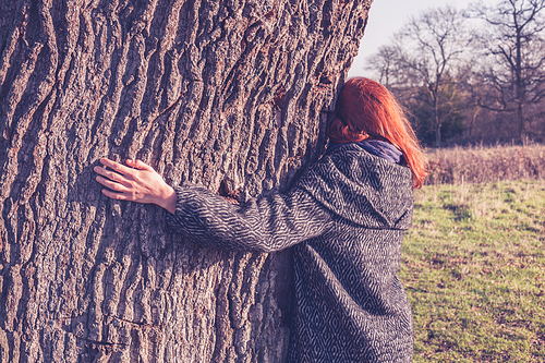 A young woman is hugging a big tree on a cold day of winter