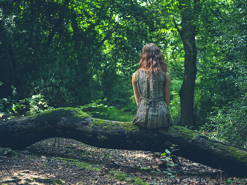 A young woman is sitting on a log in a clearing in the forest