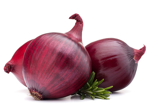 red onion and rosemary leaves  isolated on white cutout