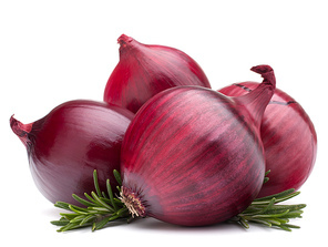 red onion and rosemary leaves  isolated on white background cutout