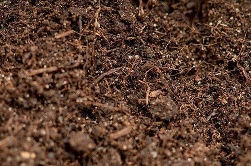 Close up of soil - can be used as background