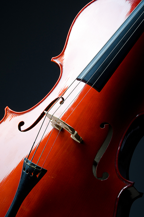 Music concept- close up of cello