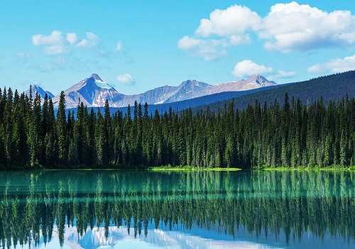 Serenity Emerald Lake in the Yoho National Park, Canada. Instagram filter