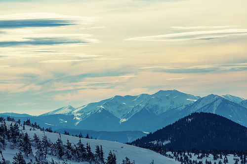 Carpathian mountains