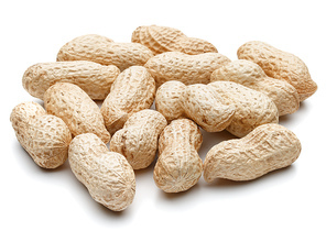 peanut pod or arachis isolated on white cutout