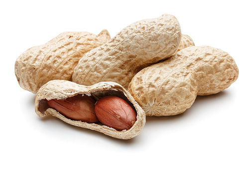 peanut pod or arachis isolated on white cutout