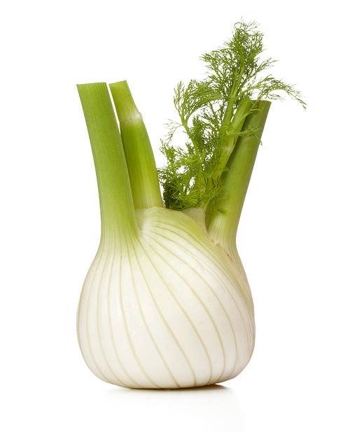 Fresh fennel bulb isolated on white close up