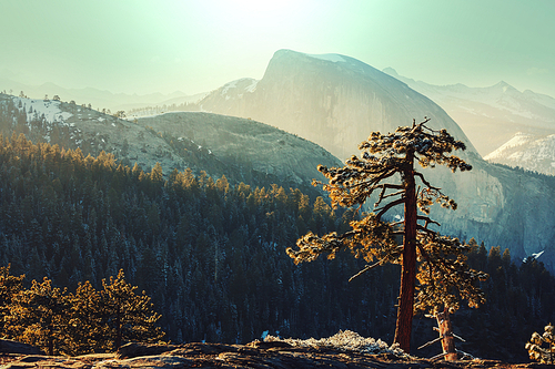 Yosemite landscapes