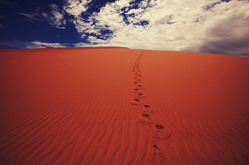 Sand dunes in the Sahara desert