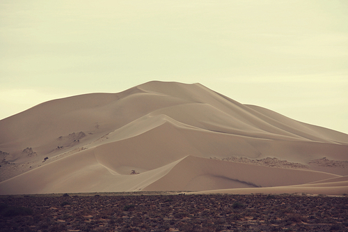 Desert landscape