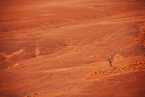 Sand dunes in Namib desert