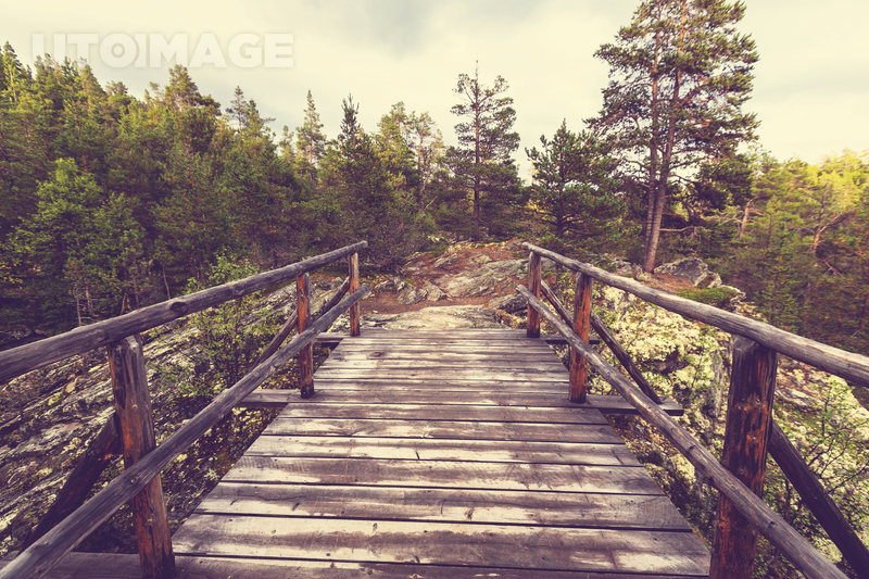 유토이미지 | Wooden boardwalk in the forest