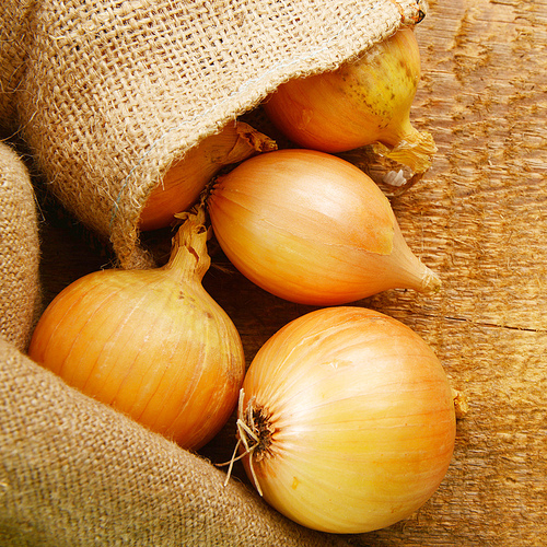 Open jute sack with ripe onions  on wooden board