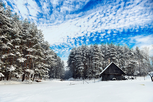 cabana on  bank of  frozen lake, followed by winter forest