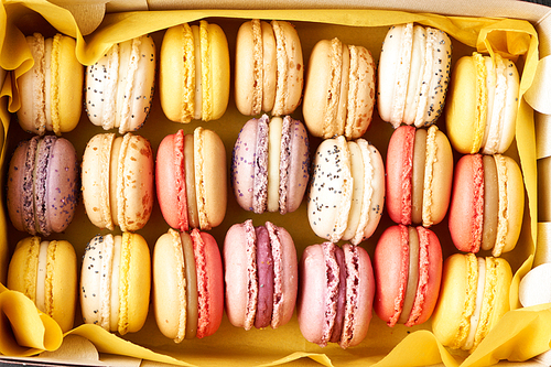 French delicious dessert macaroons in box