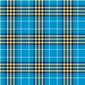 Seamless tartan vector pattern